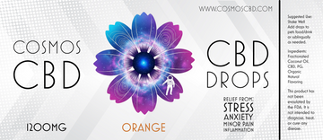 Cosmos Drops Orange